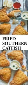 Southern Fried Cat Fish - Immaculate Bites