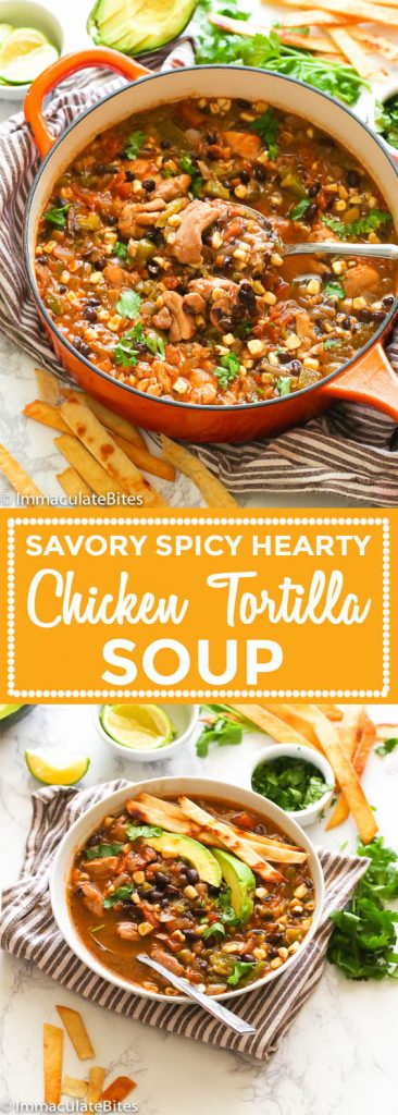 Chicken Tortilla Soup - Immaculate Bites