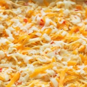 Baked chicken spaghetti