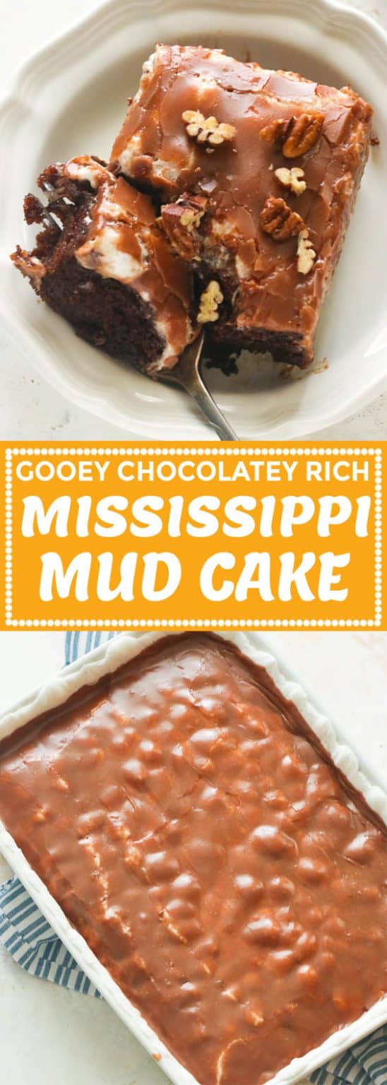 Mississippi Mud Cake - Immaculate Bites