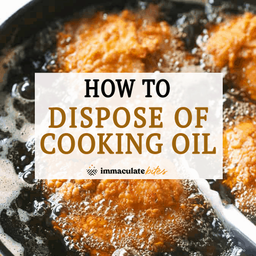 How to Dispose of Cooking Oil - Immaculate Bites