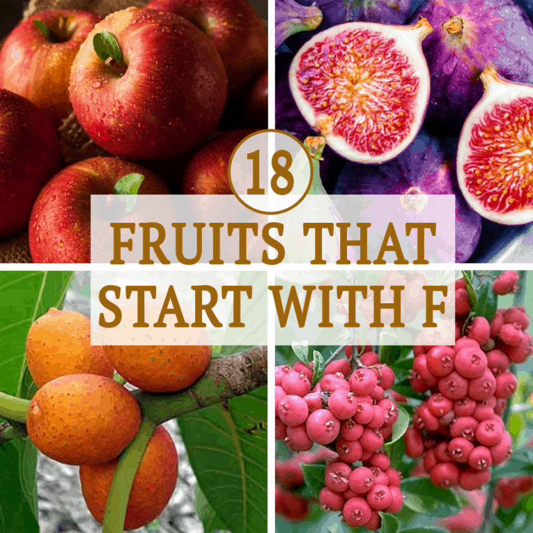 18 Fruits That Start With F - Immaculate Bites