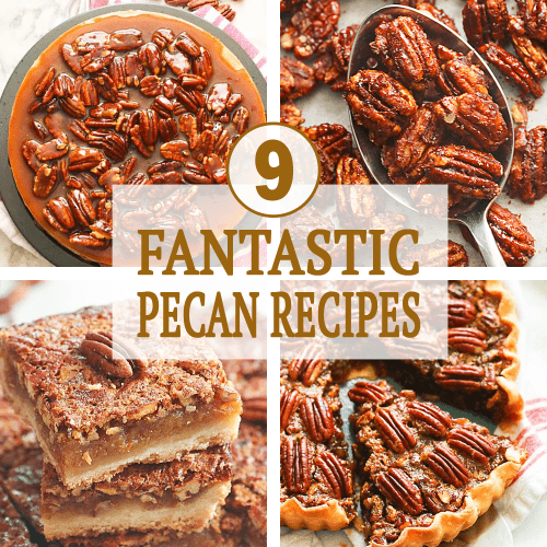 9 Fantastic Pecan Recipes - Immaculate Bites