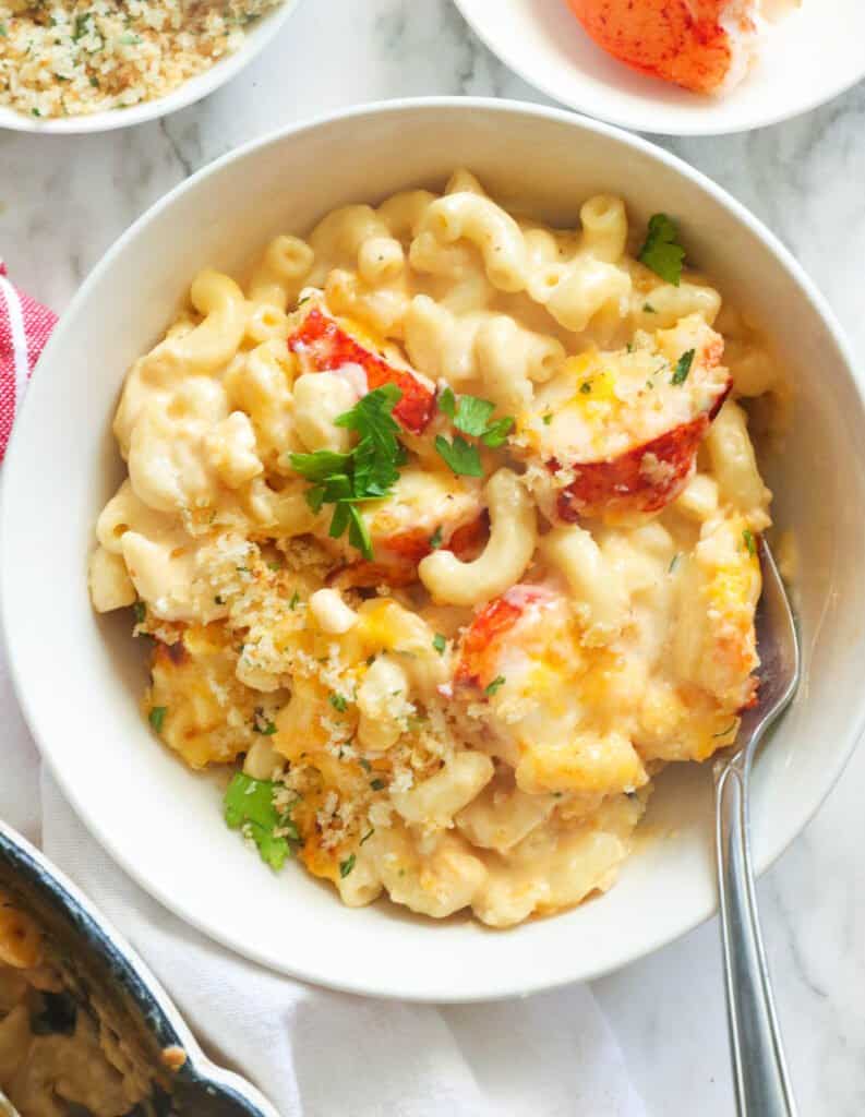 Lobster Mac and Cheese - Immaculate Bites