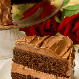 Chocolate Mayonnaise Cake A Modern Twist on a Timeless Classic Dessert