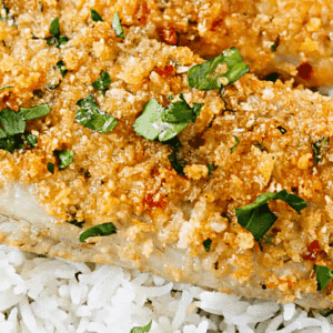 Parmesan Crusted Tilapia - incredibly family-friendly meal ready in 20 minutesParmesan Crusted Tilapia - incredibly family-friendly meal ready in 20 minutes