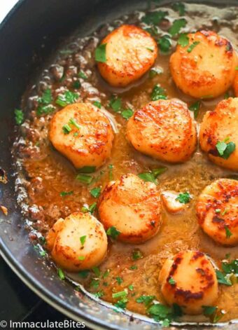 Pan Seared Scallops - Immaculate Bites