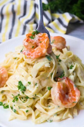 Shrimp Alfredo Recipe - Immaculate Bites