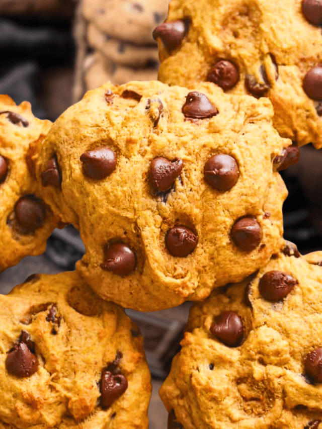 Falls Best Soft And Chewy Pumpkin Chocolate Chip Cookies Immaculate Bites