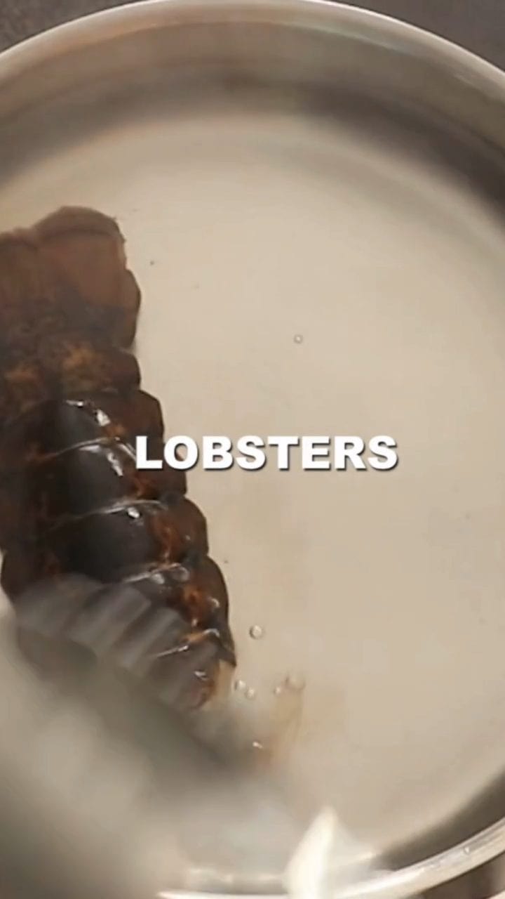 https://www.africanbites.com/wp-content/uploads/2023/11/Luscious-Lobster-Bisque-Recipe-poster-1.jpeg