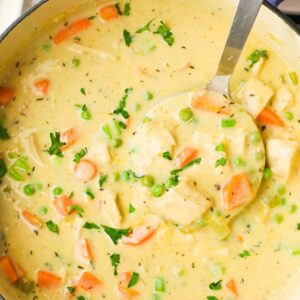 A finished pot of chicken pot pie soup ready to serve