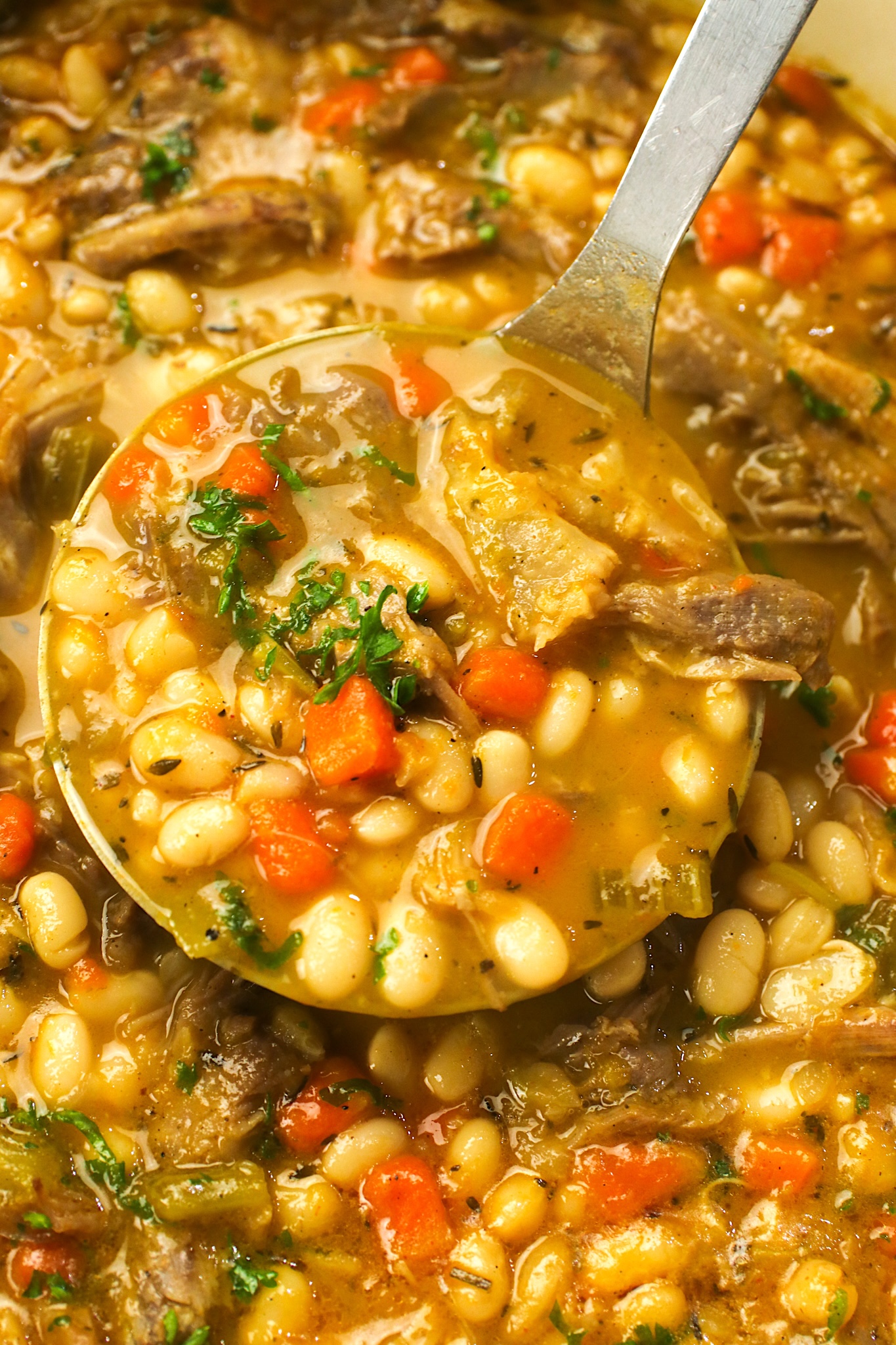 A healthy ladle full of navy bean soup with ham